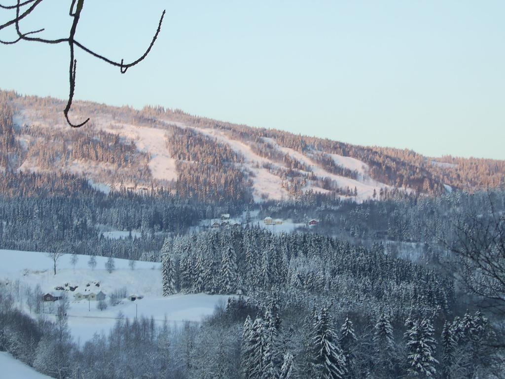 Sogn Gjestegard Svarstad  部屋 写真